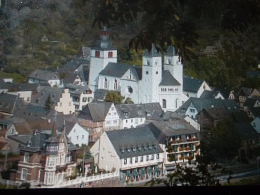Ferienhaus-Barz Treis-Karden Bagian luar foto